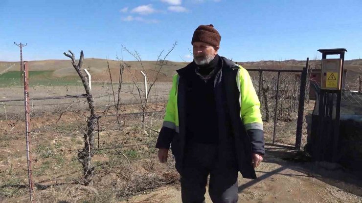 Haftalardır kurak geçiyordu, yağışlar çiftçiyi mutlu etti: "Bu yağışlar bize ilaç oldu"