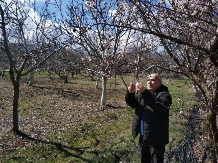 Beyşehir’de ekili alanlar ve meyve bahçelerinde hastalık taraması