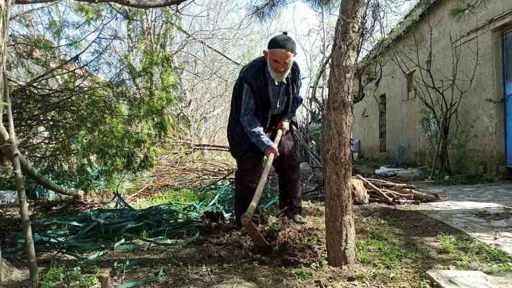 ’Ağaç sever dede’ diktiği bine yakın ağacın bakımını aksatmıyor