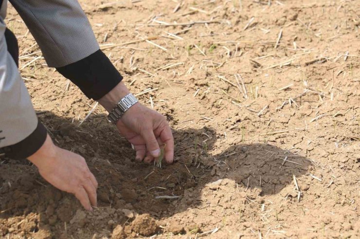 Soğanın başkentinden tüketiciye müjde