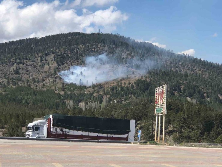 Konya’da ormanlık alanda yangın başladı