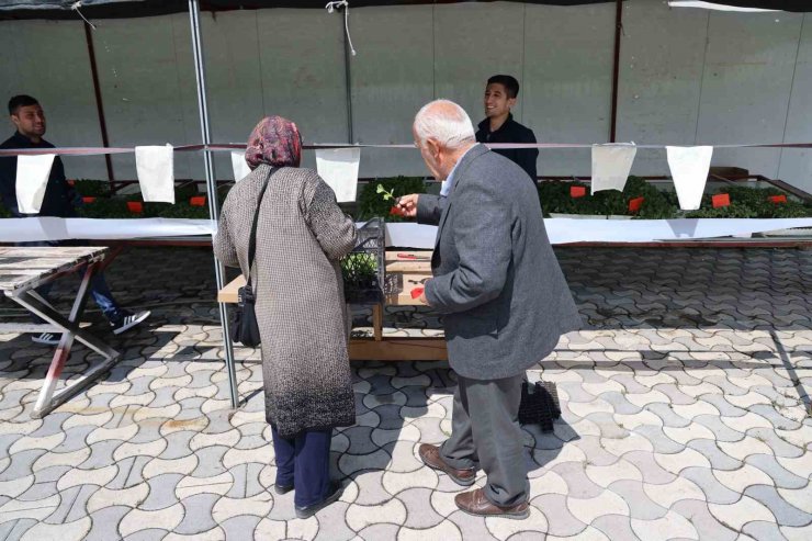 Konya’nın ilk ve tek sebze fidesi üretim merkezinde satışlar başladı