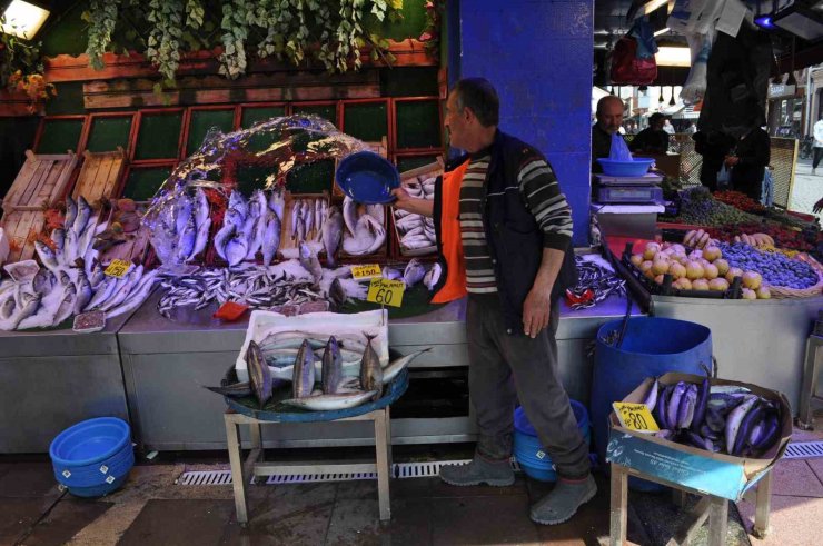 Balık tezgâhlarındaki bollaşması bekleniyor