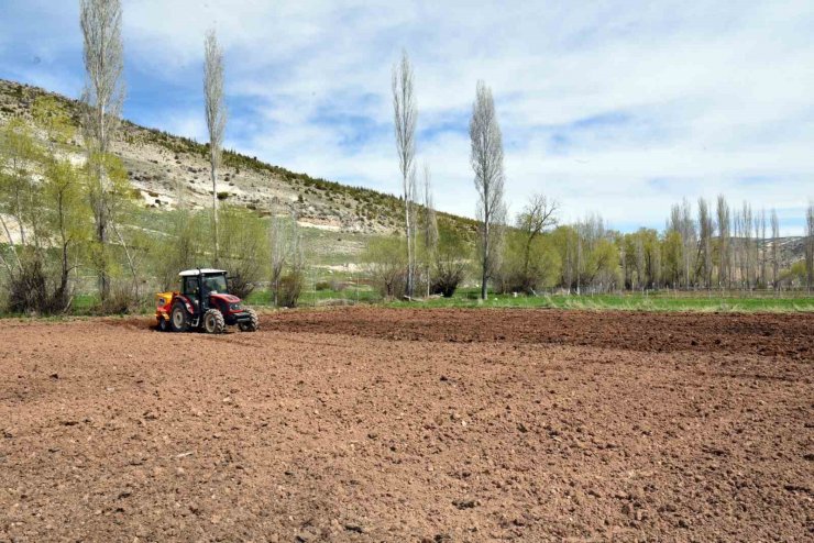 Selçuklu Belediyesi tarımsal üretime katkı sağlıyor