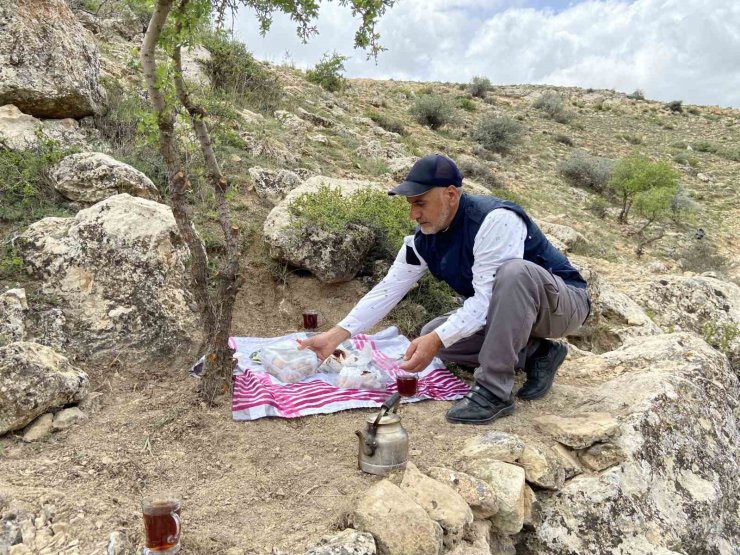 Merak üzerine çıktığı dağlık alanda, gölge bulamayınca kendini ağaçlara adadı