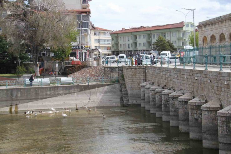 Köprü önüne ve regülatör gözleri içinde kuluçkaya yatan Meke ve kazlar ilgi odağı oldu