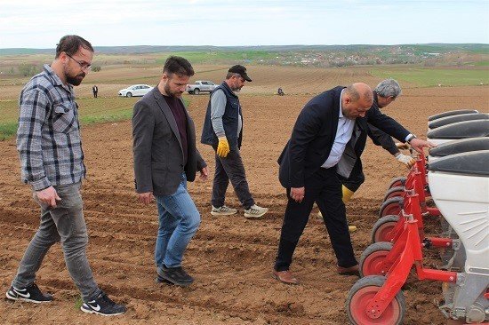 Hibe destekli yağlık ayçiçeği tohumları toprakla buluştu