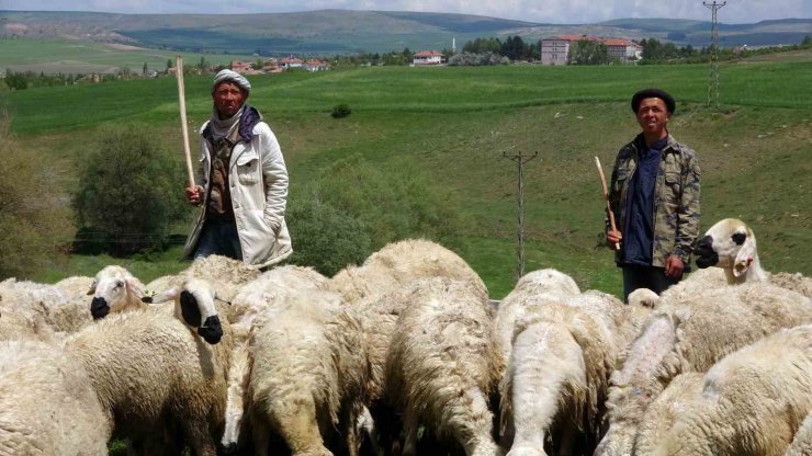 Yozgat’ta 16 bin lira maaşlı iş, Türkler beğenmeyince Afganlara kaldı