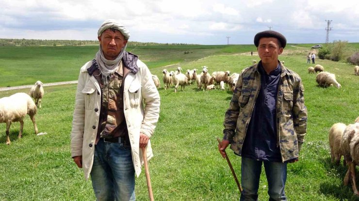 Yozgat’ta 16 bin lira maaşlı iş, Türkler beğenmeyince Afganlara kaldı