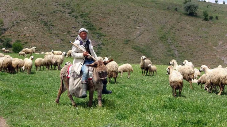 Yozgat’ta 16 bin lira maaşlı iş, Türkler beğenmeyince Afganlara kaldı