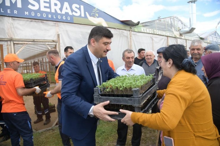 Yerli üretim, yüzde yüz hibeli ata tohumu