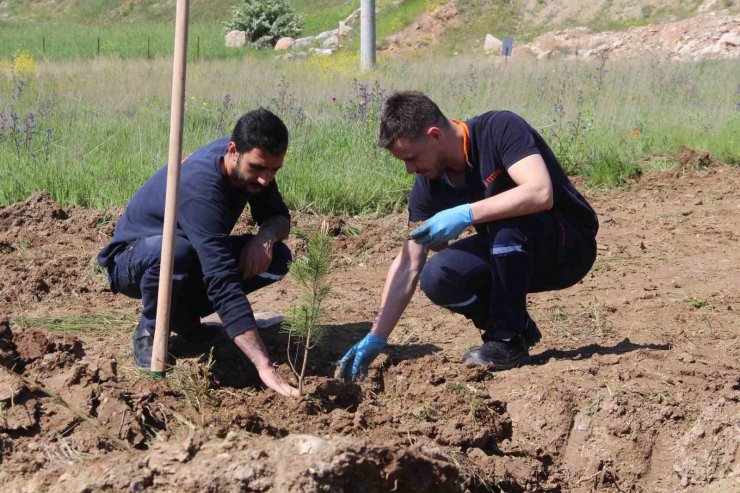 Fabrika çalışanları mesaiye fidan dikerek başladı