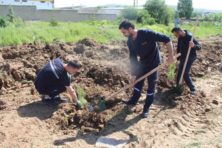 Fabrika çalışanları mesaiye fidan dikerek başladı