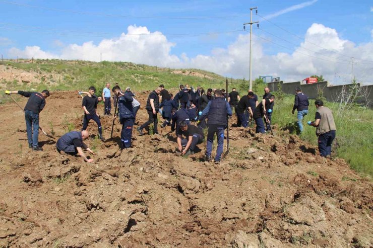 Fabrika çalışanları mesaiye fidan dikerek başladı