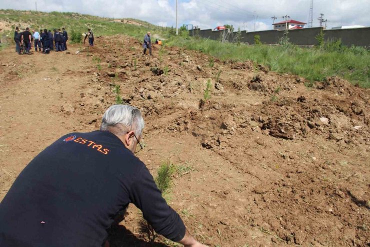 Fabrika çalışanları mesaiye fidan dikerek başladı