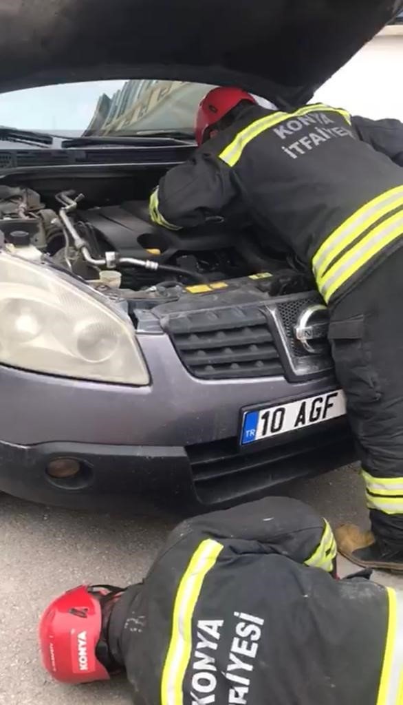 Konya’da otomobilden 1,5 metrelik yılan çıktı