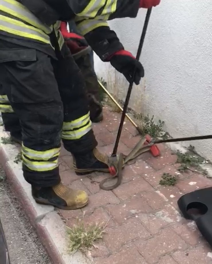 Konya’da otomobilden 1,5 metrelik yılan çıktı