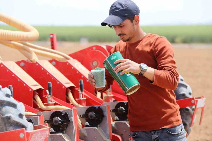 Tahıl ambarı Konya Ovası’nda kademeli havuç ekimi sürüyor