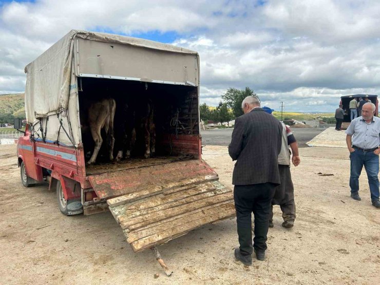 Yozgat’ta hayvan pazarları kurulmaya başladı