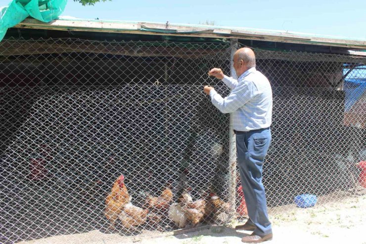 Çölleşmeyle anılan Karapınar’da "vaha" oluşturdu