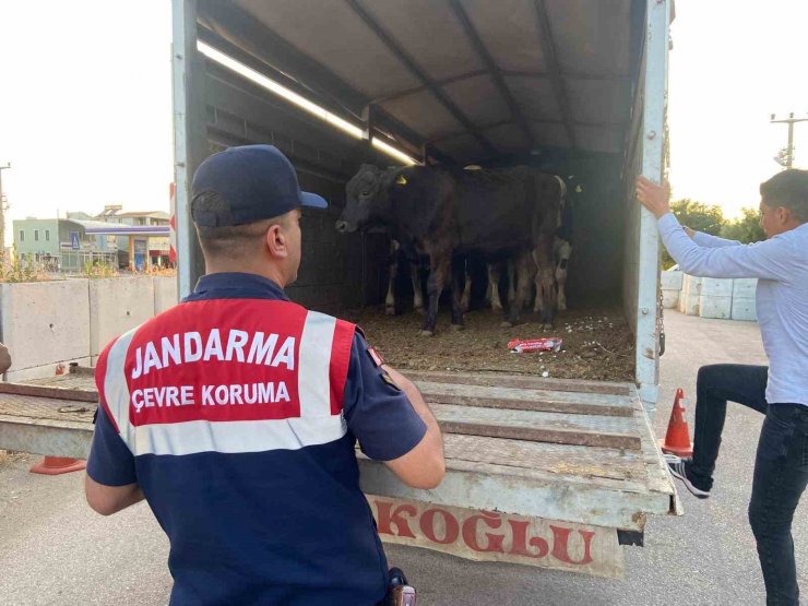 Aksaray’da sivil jandarmalar kurban teyakkuzunda