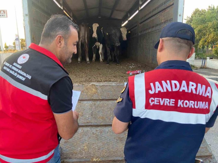 Aksaray’da sivil jandarmalar kurban teyakkuzunda