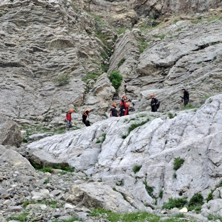 Dağlık alanda kayalıklarda mahsur kalan keçilere kurtarma operasyonu