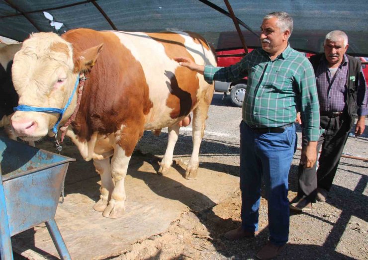 Bayram yaklaştı pazarlıklar kızıştı