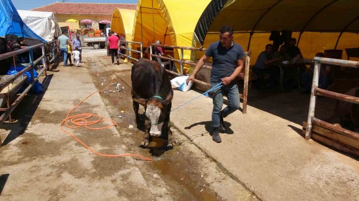 Kol koparan pazarlıklar devam ediyor