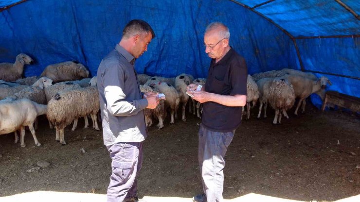 Kol koparan pazarlıklar devam ediyor