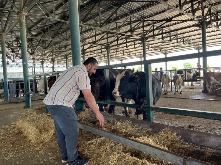 Eskişehir’de kurbanlık satıcısı çifte bayram yapıyor