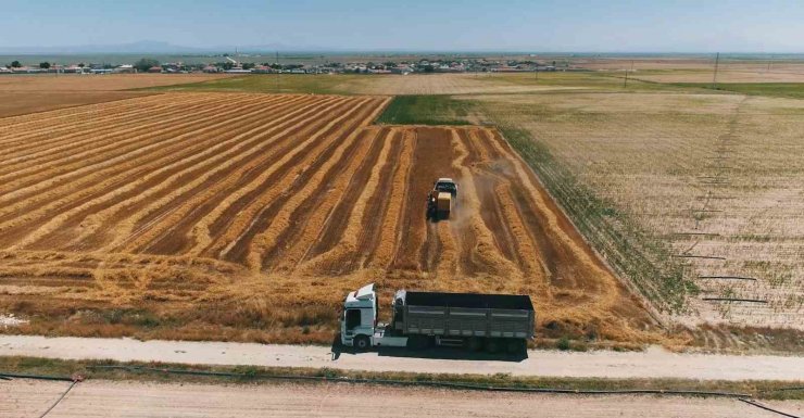 Aksaray’da yağışlar ürün rekoltesini 2 katına çıkardı