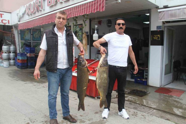 Beyşehir Gölü’nde av sezonu açıldı, balıklar tezgahları süsledi