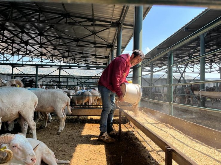 Eskişehir’de kurbanlık satıcısı çifte bayram yapıyor