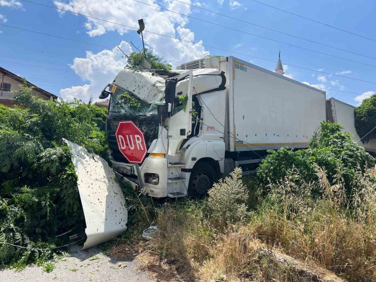 Freni boşalan römorklu kamyon önce ağaca, sonra elektrik diğerine çarptı