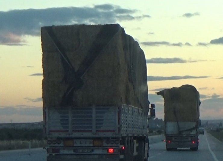 Saman balyası yüklü kamyonların tehlikeli yolculuğu