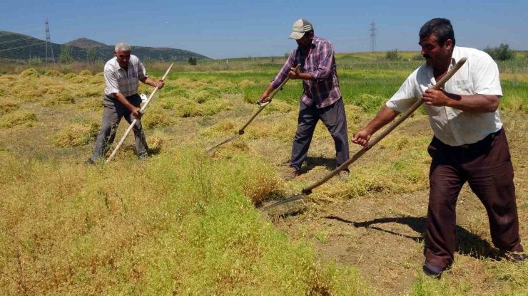 Aylıkları 30 bin liraya geliyor ancak sayıları her geçen gün azalıyor