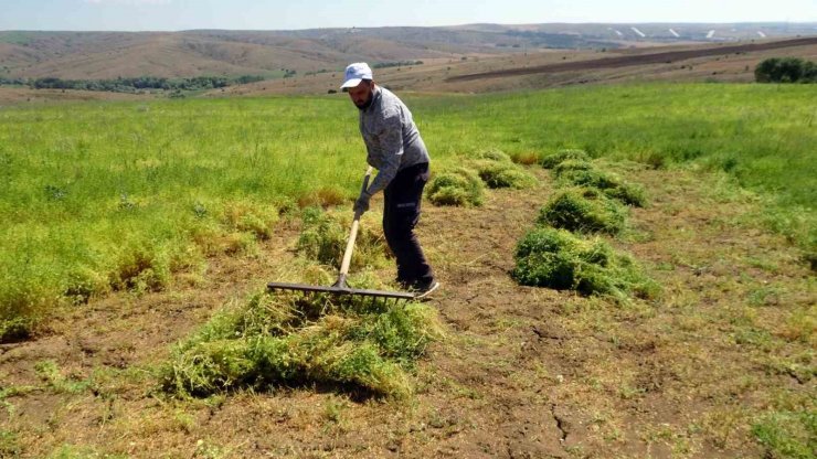 Aylıkları 30 bin liraya geliyor ancak sayıları her geçen gün azalıyor