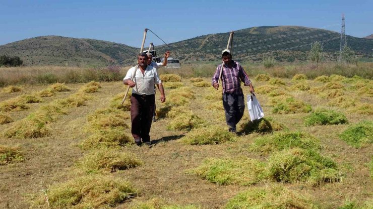 Aylıkları 30 bin liraya geliyor ancak sayıları her geçen gün azalıyor