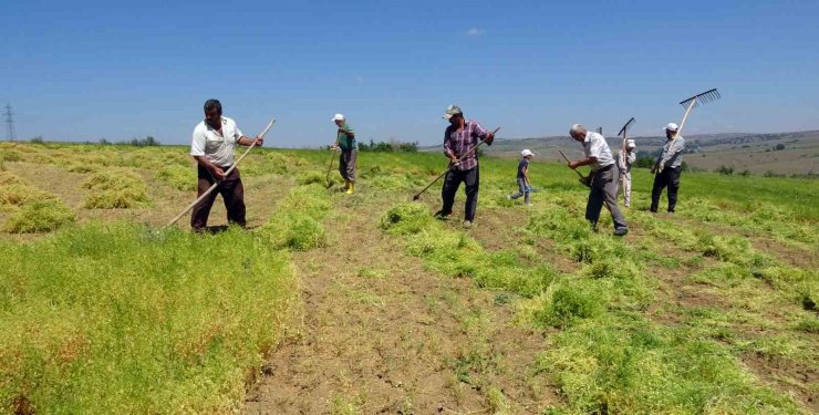 Aylıkları 30 bin liraya geliyor ancak sayıları her geçen gün azalıyor