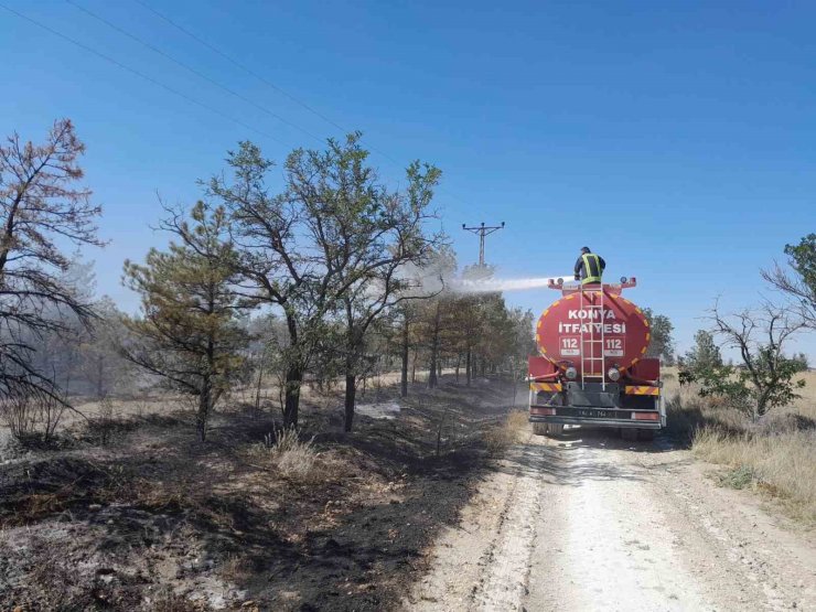 Konya’da Erozyon Önleme Sahası’nda orman yangını