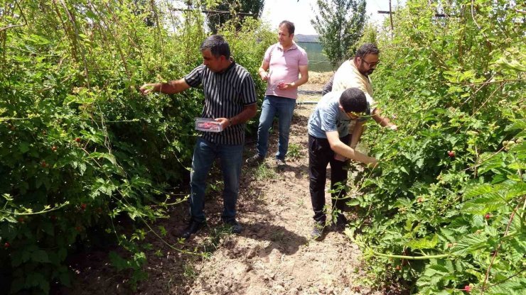 Hobi olarak üretmeye başlamıştı şimdi taleplere yetişemiyor, bahçeden çıkmadan ürünler tükeniyor