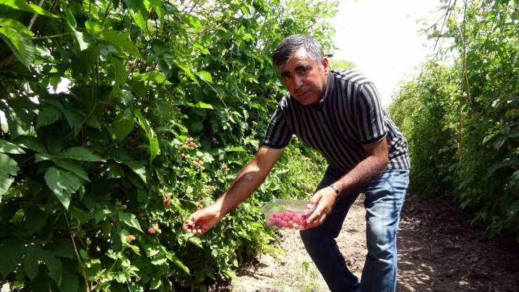 Hobi olarak üretmeye başlamıştı şimdi taleplere yetişemiyor, bahçeden çıkmadan ürünler tükeniyor