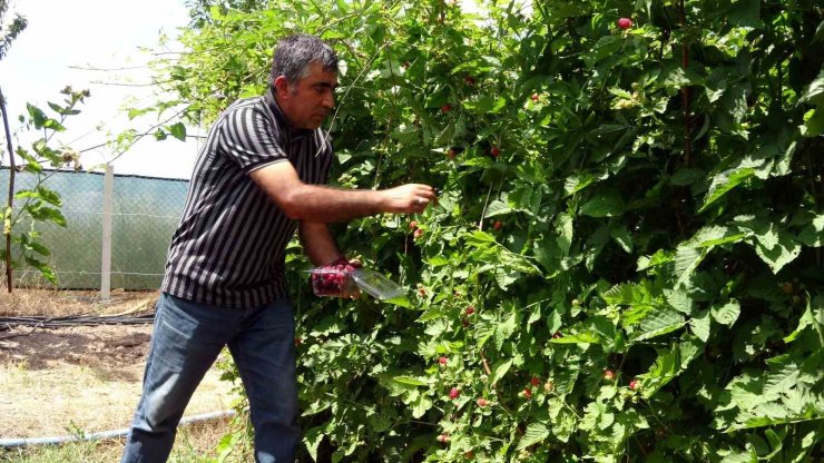 Hobi olarak üretmeye başlamıştı şimdi taleplere yetişemiyor, bahçeden çıkmadan ürünler tükeniyor