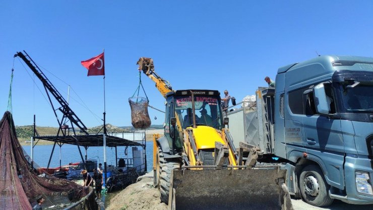 Bozkırın ortasında üretilen balıklar Avrupa’da sofraları süslüyor