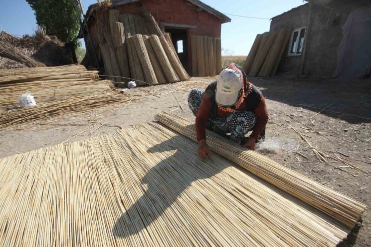 Göllerden temin edilen kamışlar ekonomiye kazandırılıyor