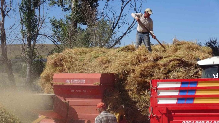 Yozgat’ta yeşil mercimek hasadı sonrası çiftçilerin saman mesaisi