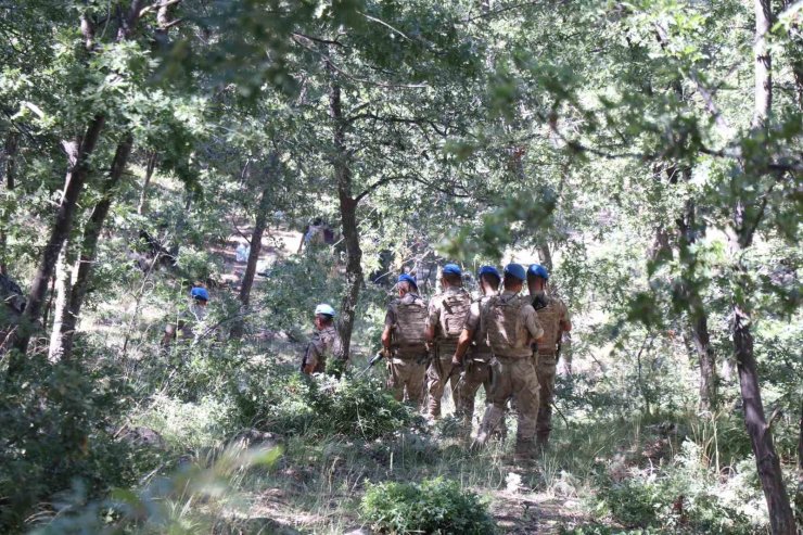 Komandolar havadan ve karadan yangına karşı teyakkuzda