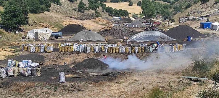 Mangal kömürü işçileri iki sıcak arasında alın teri döküyor