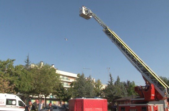 İntihardan vazgeçmek için istediği kedisini metrelerce yüksekten atıp öldürdü